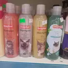 شامبو قطط مناديل قطط معطر قطط معطررمل قطط هملايا شيرازي