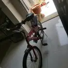 سيكل رامبو عنابي 250