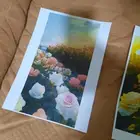 صور ملونه