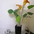 للبيع زرع اططناعي