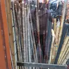 عصى مزمار متنوع