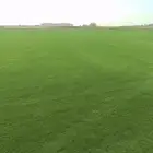 مزرعة الخيرات انواع الثيل الطبيعي الممتاز سي 2000دراجه