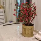 شجر ورد مركن