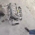 لنتراء 2022