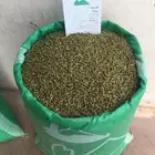 اكل سمك اكل ارانب فايتر