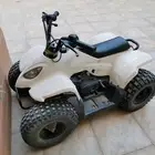 دباب تايواني رام 80 للبيع