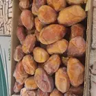 تمر خلاص أشيقر رطب ((جملة فقط))