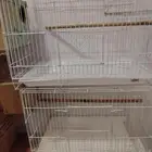 قفصين الحجم 601