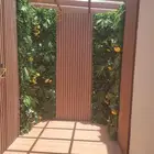 ديكورات داخليه وخارجيه