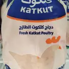 يوجد دجاج كتكوت نخب اول جميع ابمقاسات مبرد