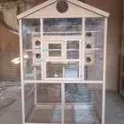 قفص طيور