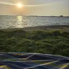 طلب نجيلة طبيعي