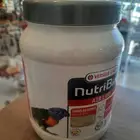 سيريلاك لوري واكل لوري نكتار