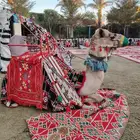 اجار جمال رحول وخيل عربية