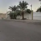 نخل روثانة