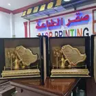 درع بشت مع سيف