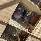 حمام قطايف قطيفي