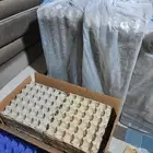 يتوفر اطباق بيض فارغه