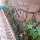 مشتل تنسيق حدائق