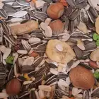 مستلزمات واكل طيور كروان روز كاسكو دره