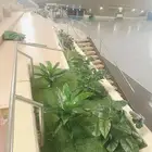 تنسيق حدائق جده عشب صناعي وي طبيعي
