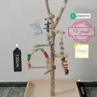 استاند ببغاء خشب طبيعي لجميع أنواع الببغاء 