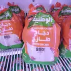 دجاج الوطنيه باسعار منافسه
