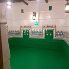 قط عسيري