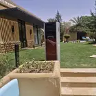 حفلات