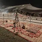 تأجير خيم