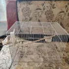 فقص عصافير كبير للبيع