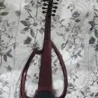 عود سالمين مجلس أرضي