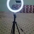 اثاث