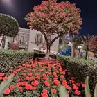 تنسيق حدائق ثيل طبيعي واعمل شبكه الري