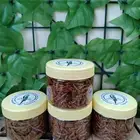 دود قبابي مجفف للطيور