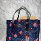 كولكشن كوتش كرزات