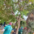 تنشق الحدائق