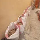 خبز ناشف