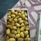 رطب خلاص طيب