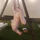 شواء خارجي شواي شوي