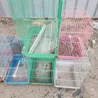 اقفاص طيور