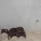 سنون او سحوب