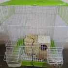 طير حب بي 100 بدون قفص 60
