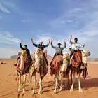 اجار جمال رحول وخيل عربية اصيلة