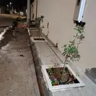 تنسيق حدائق القصيم