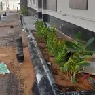 بيع شتلات واشجار