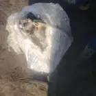 دفرنس اكترس