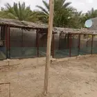 شبوك فتحة صغيرة 2x2 ارتفاع متر ونص