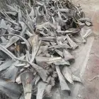 للبيع كرب نخيل