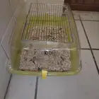 بسكليت عدد 1 و قفص ارانب